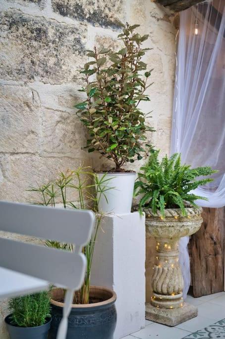 Appartement-Terrasse Centre Historique Uzès Esterno foto
